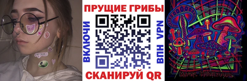 дарнет шоп Горняк Псилоцибиновые грибы прущие грибы